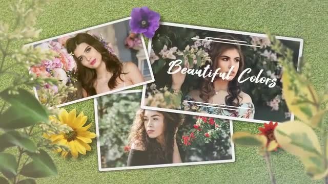 Spring Perfume: After Effects Templates