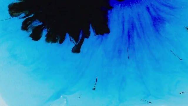 Black And Blue Ink Pack: Stock Video