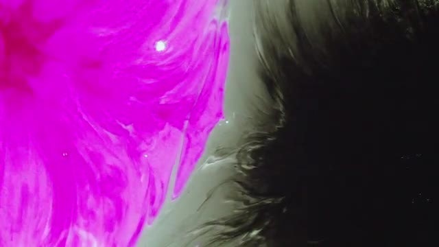 Black And Purple Ink Fill: Stock Video