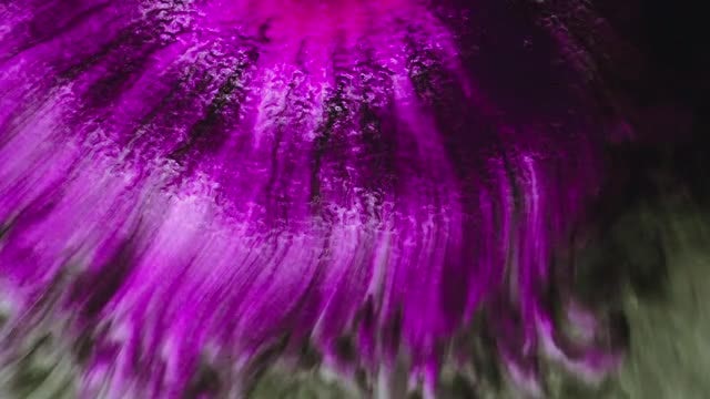 Ink Mixture: Stock Video