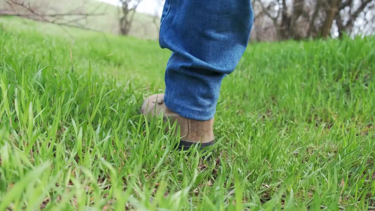 Walking On Grass - Stock Video | Motion Array