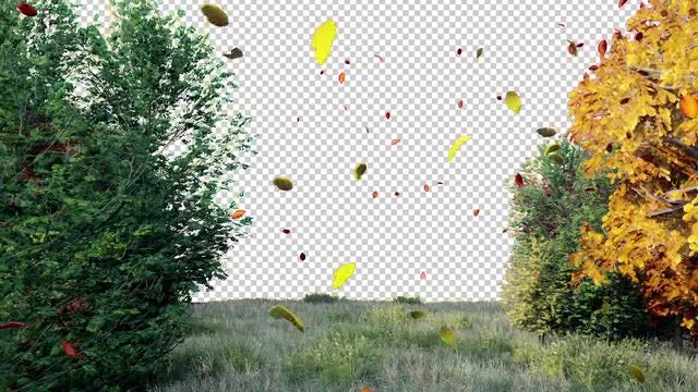 Autumn With Alpha Channel: Stock Motion Graphics