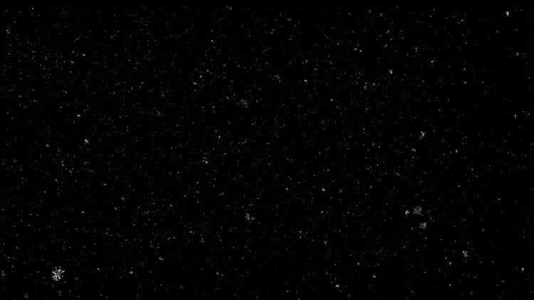 Realistic Snowfall 04: Stock Motion Graphics