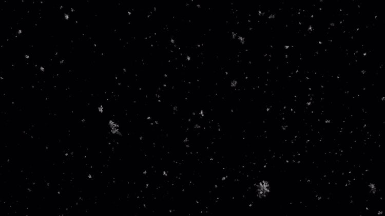 Realistic Snowfall 10: Motion Graphics