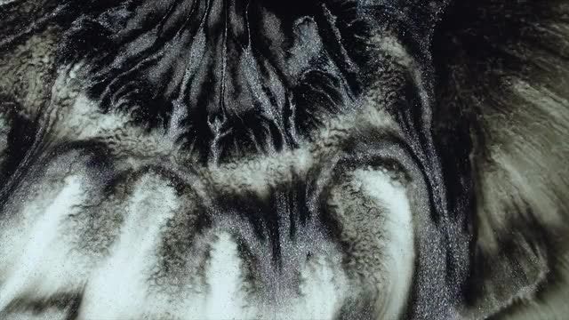 Black Silver Splatter Pack: Stock Video