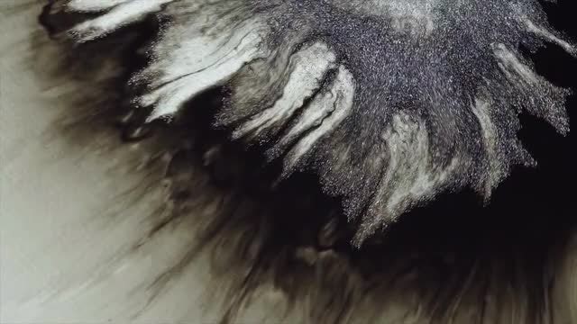 Black-Silver Tendrils Pack: Stock Video