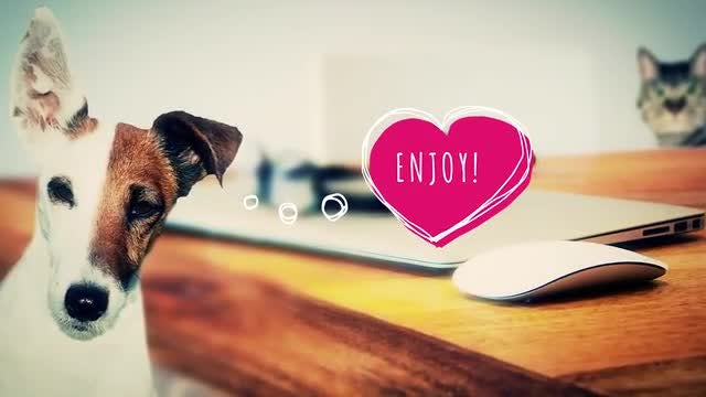 Playful Speech Bubbles: Premiere Pro Templates