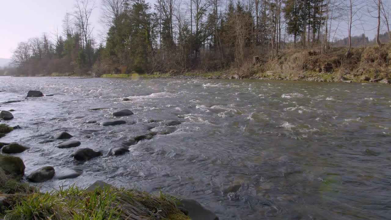 River Water Flows Stock Video Motion Array