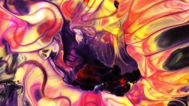 Purple And Yellow: Stock Video