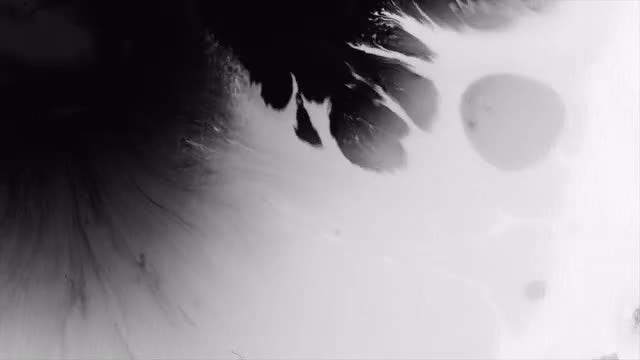 Black And White Ink: Stock Video