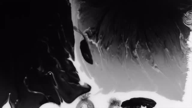 White And Black Ink Fill: Stock Video