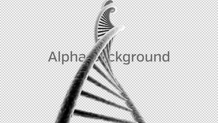 Rotating DNA Alpha Loop : Stock Motion Graphics
