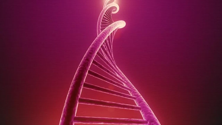 Single Rotating DNA Loop: Motion Graphics