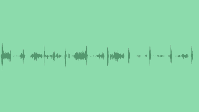 Birdsong: Sound Effects