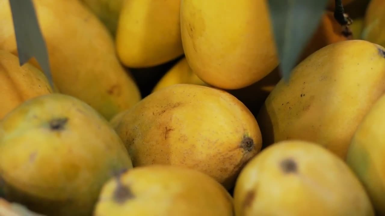 Fresh Mango Stock Video Motion Array