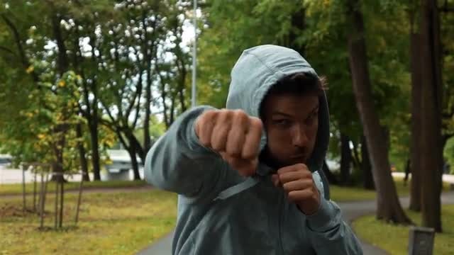 Boxer In The Woods: Stock Video