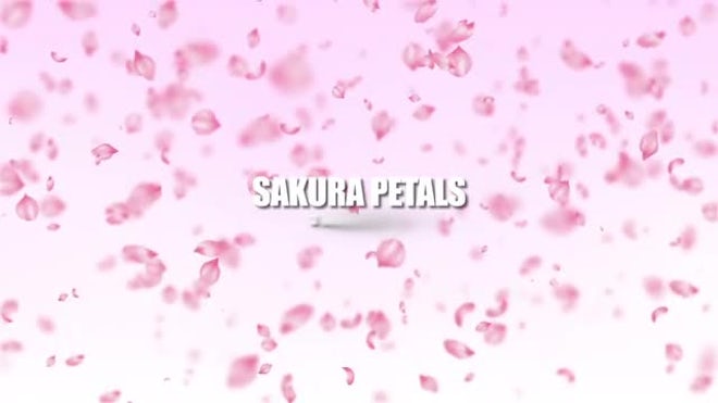 Sakura Petals - Stock Motion Graphics | Motion Array