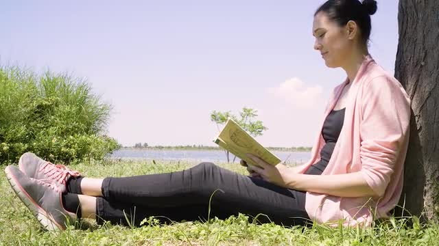 Woman Reading: Stock Video