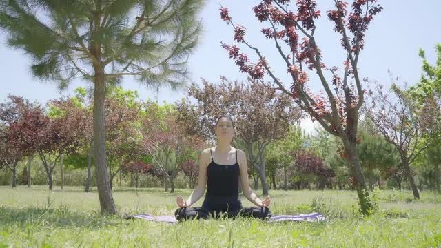 Yoga In The Park: Stock Video