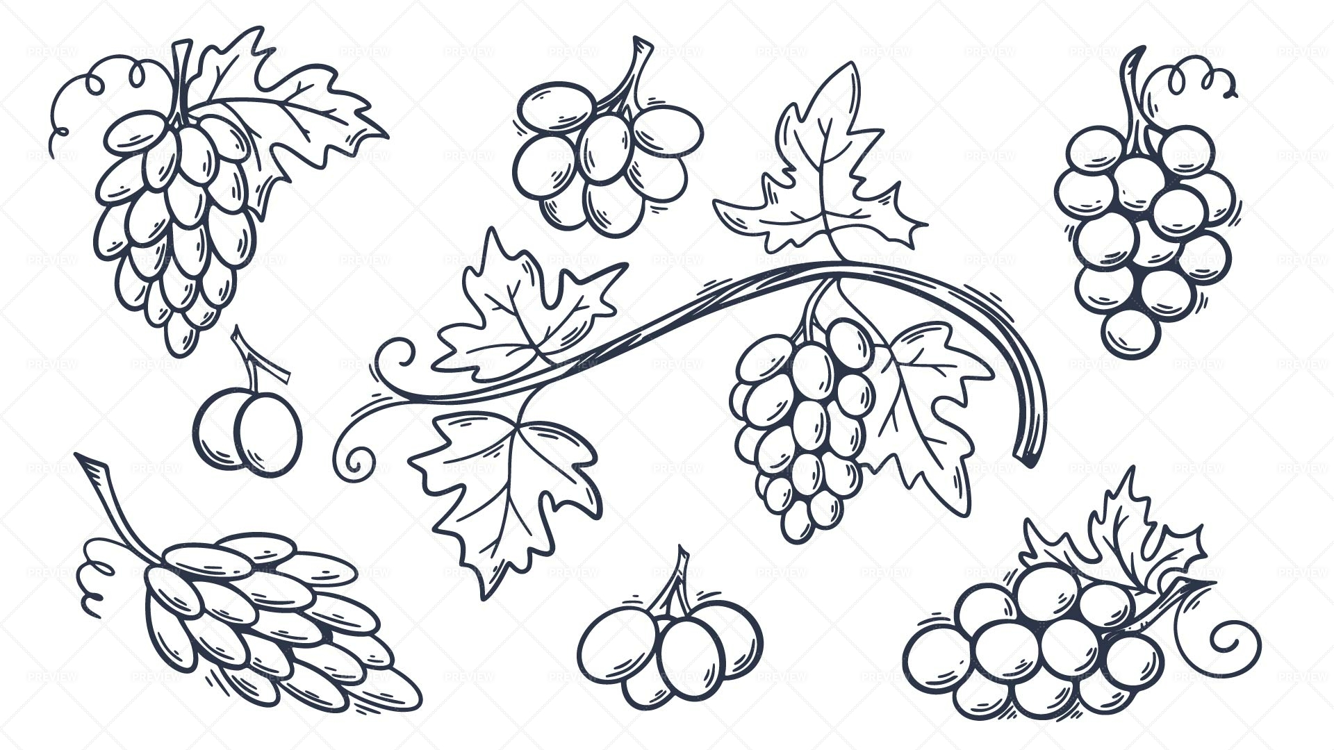 Wine Common Grape Vine Champagne, Grapes Drawing, leaf, hand, branch png |  PNGWing