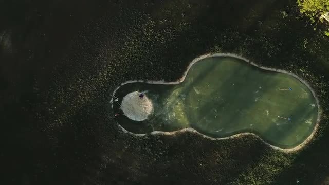 Playing Golf: Stock Video