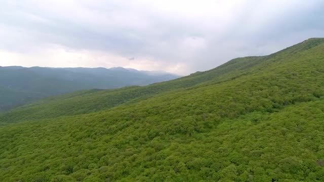 Green Hill: Stock Video