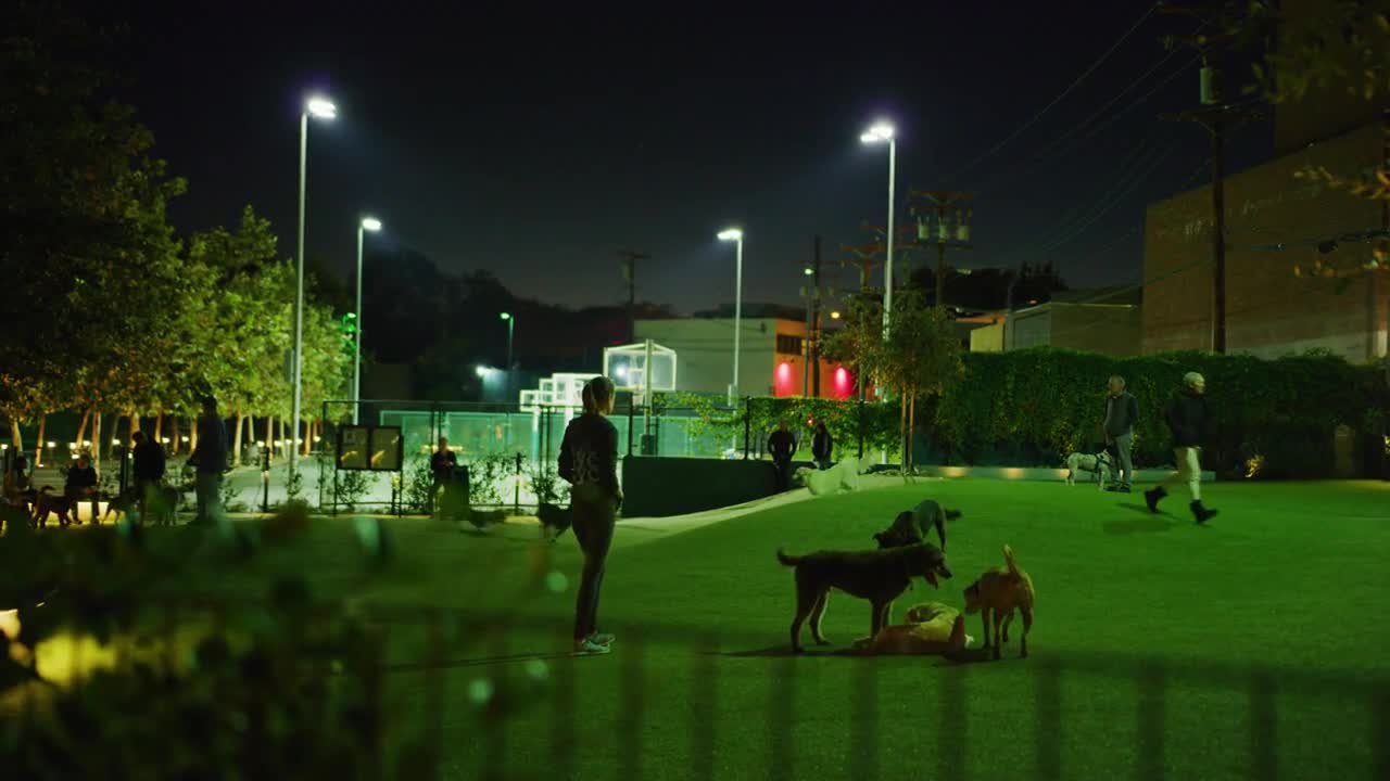 Dog Park - Stock Video | Motion Array