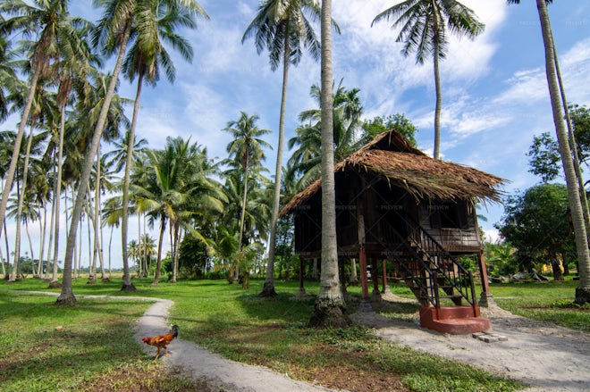 Traditional Malays Wooden Hut In Coconut - Stock Photos | Motion Array