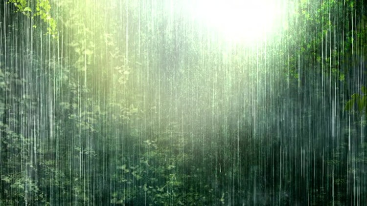 Heavy Rain In The Forest Stock Motion Graphics Motion Array