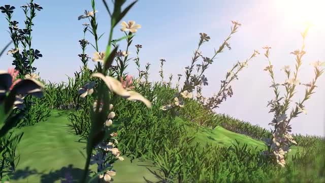 Summer Flower Garden: Stock Motion Graphics
