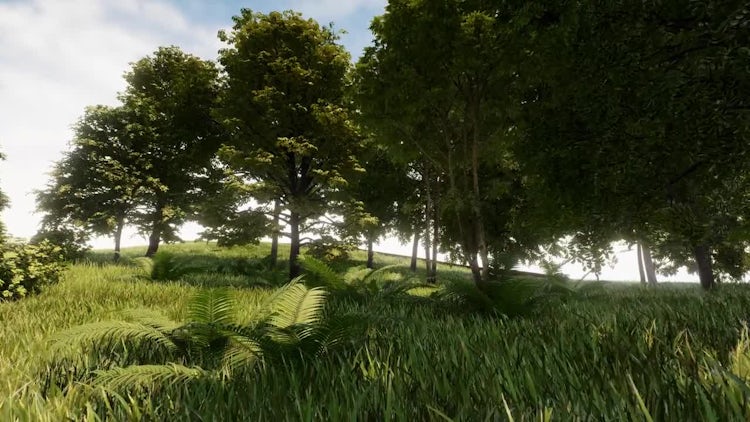 Natural and Real 3D Forest: Stock Motion Graphics