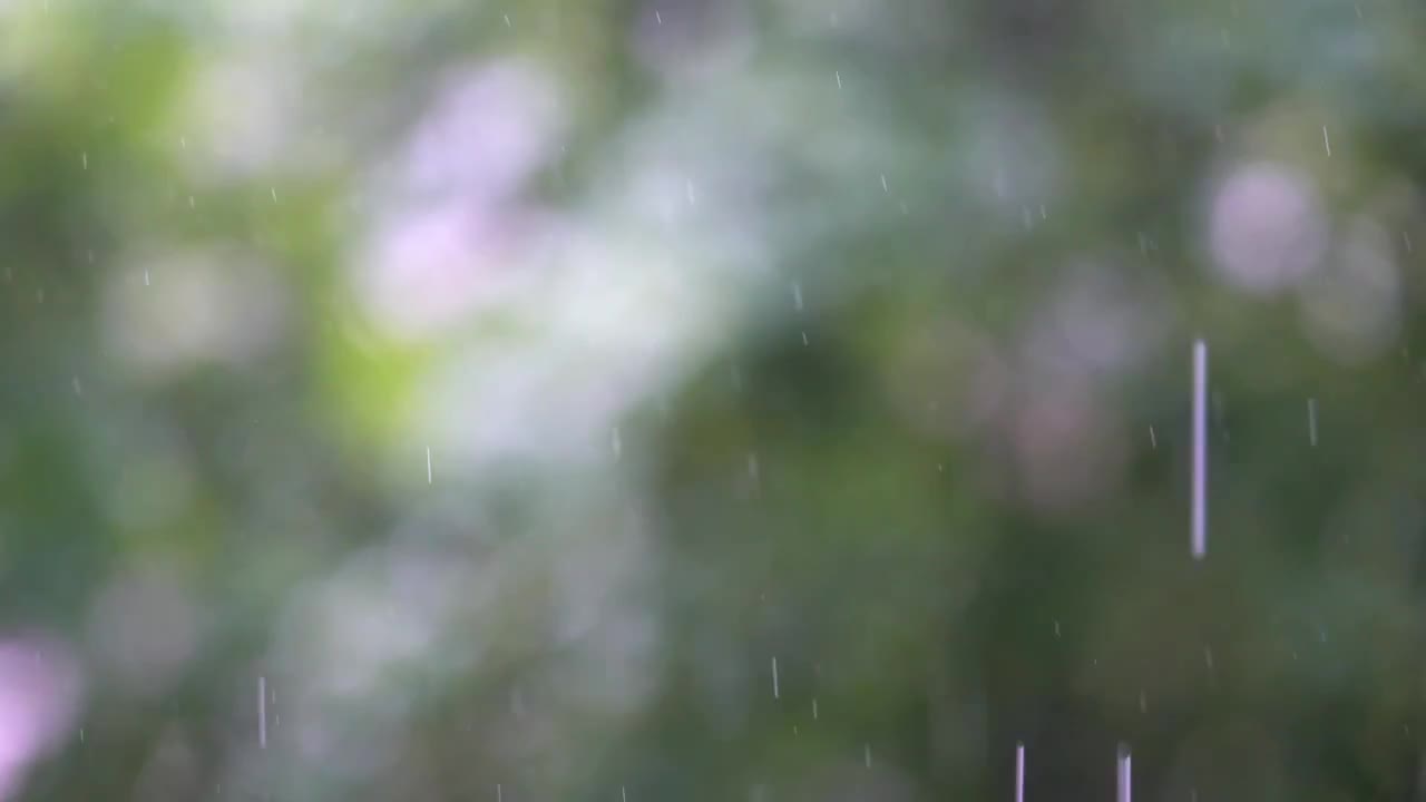 Raindrops Fall In Slow Motion Stock Video Motion Array