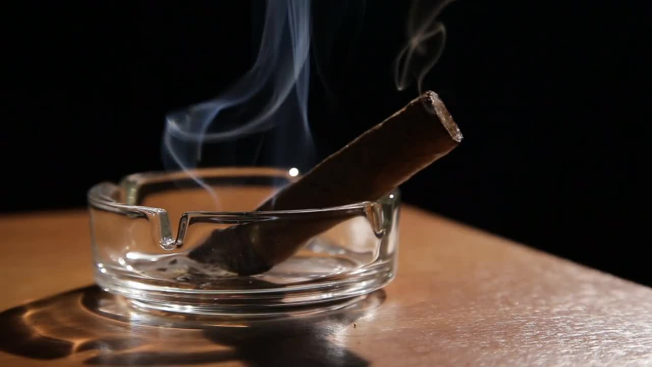 Burning Cigar In Ashtray Stock Video Motion Array