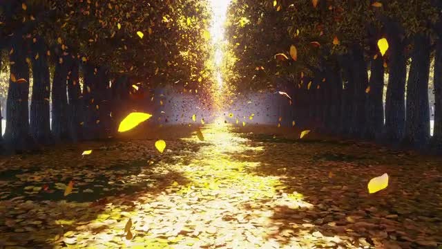 Autumn Park: Stock Motion Graphics