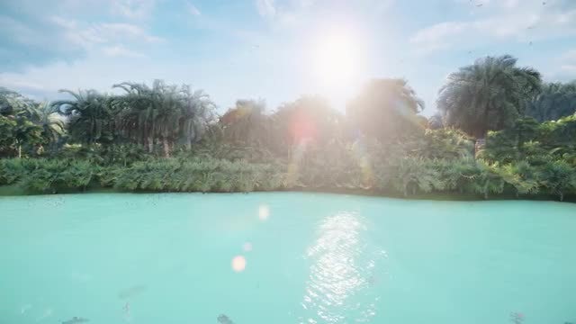 Lost Island: Stock Motion Graphics