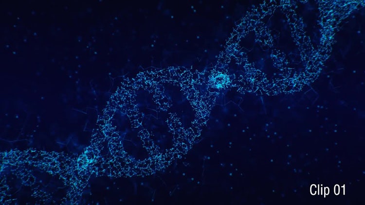 Plexus DNA 01: Stock Motion Graphics