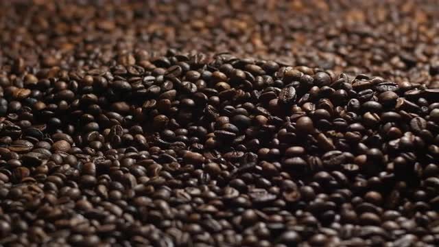 Coffee Beans: Stock Video