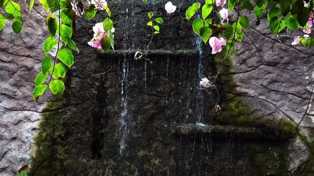Waterfall And Flowers: Stock Video