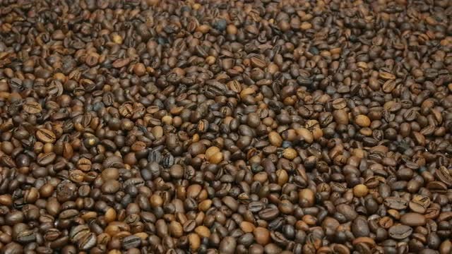 Coffee Beans: Stock Video