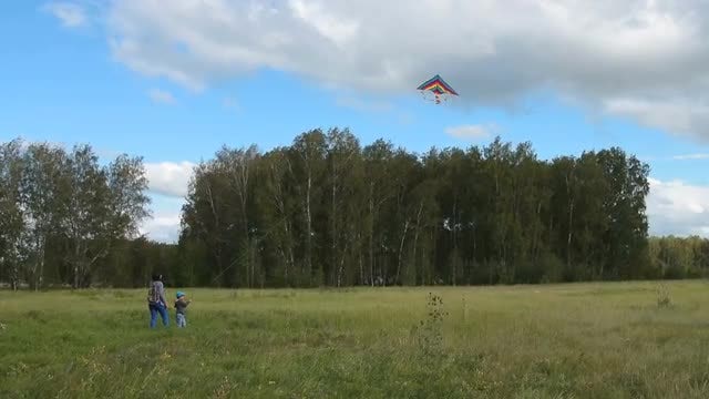 Flying A Kite: Stock Video