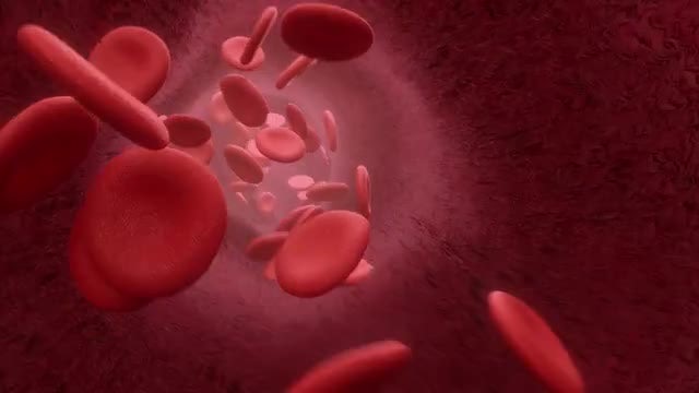 Red Blood Cells: Stock Motion Graphics