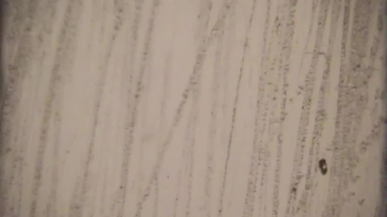 Old Film Scratch Texture Stock Video Motion Array