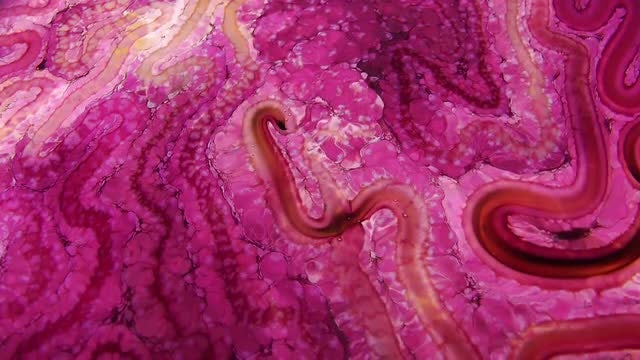 Paint Swirling: Stock Video