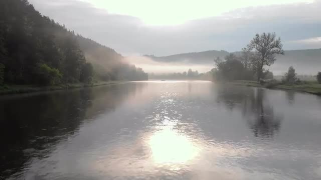 Aerial Revealing River: Stock Video
