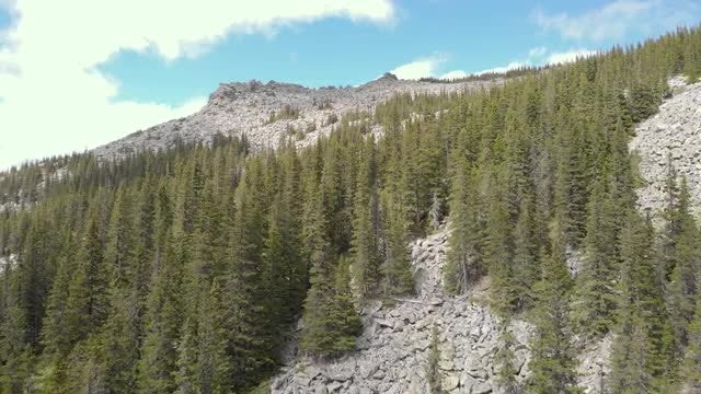Aerial Through Mountain Forest: Stock Video