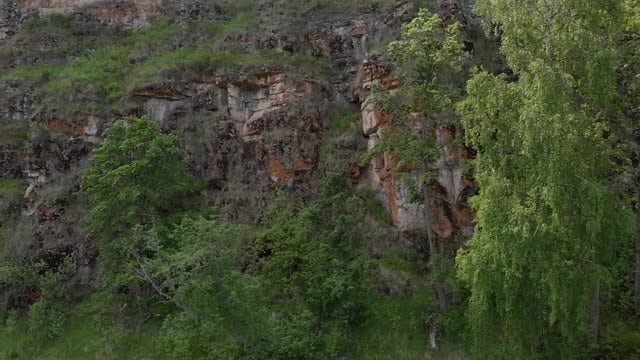 Tree-Covered Rock Face: Stock Video