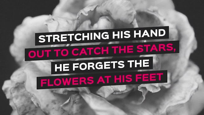 Social Media Titles Pack Freebies template preview