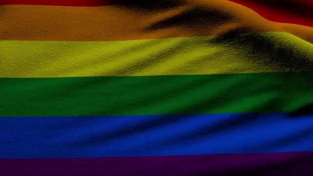 LGBT Flag: Stock Motion Graphics