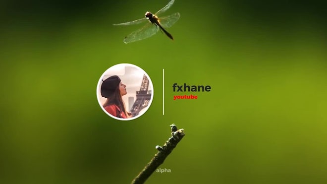 You Freebies template preview