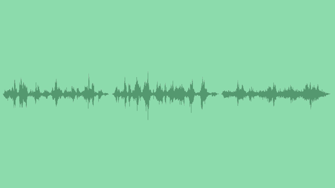 Sea And Birds: Sound Effects